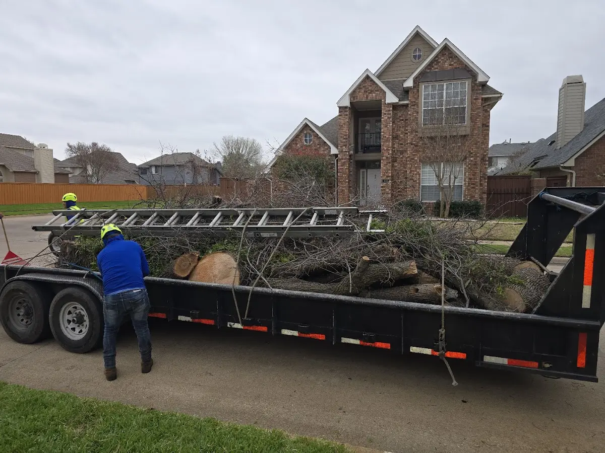 Expert Tree Pest Control with proper safety equipment in Silsbee